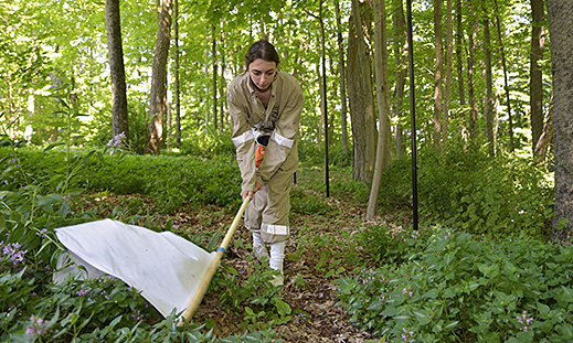 WCSU Tick Lab studies how to prevent backyard ticks and related illnesses